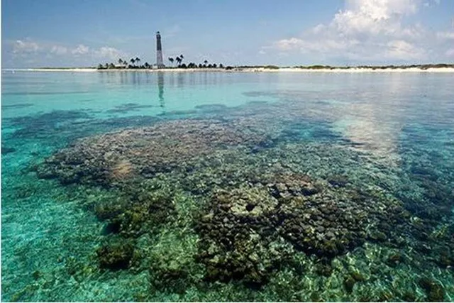 Key West Dry Tortugas Catamaran Day Trip - Image 4