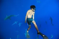 Haleiwa Shark Diving Tour thumbnail 4