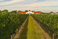 New York Long Island Wine Tour with Lunch thumbnail 4