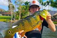 Key Largo Peacock Bass Fishing Trip thumbnail 2