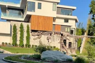 Nashville Helicopter Tour of Celebrity Homes 30 Min thumbnail 1