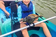 Marco Island Kayak Mangrove Ecotour in Rookery Bay thumbnail 1