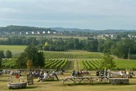 Nashville Wine and Dine Tour thumbnail 3