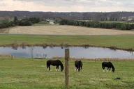Gettysburg Horse-Drawn Carriage Tour Countryside thumbnail 2