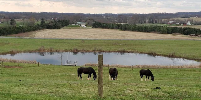 Gettysburg Horse-Drawn Carriage Tour Countryside - Image 2