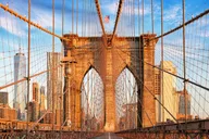 New York City Brooklyn Bridge and DUMBO Walking Tour thumbnail 5