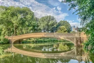 New York Central Park Pedicab Tour thumbnail 2