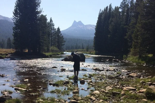 Yosemite High Country Adaptive Tour - Image 5