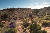 Moab Mountain Bike Tour Half Day thumbnail 6