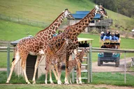 Sonoma Safari Adventure Tour thumbnail 1