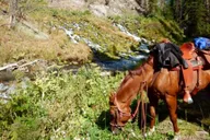 Jackson Hole Horseback Ride and Dinner Cookout thumbnail 1