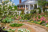 Charleston Boone Hall Plantation Tour 4.5 hr thumbnail 4