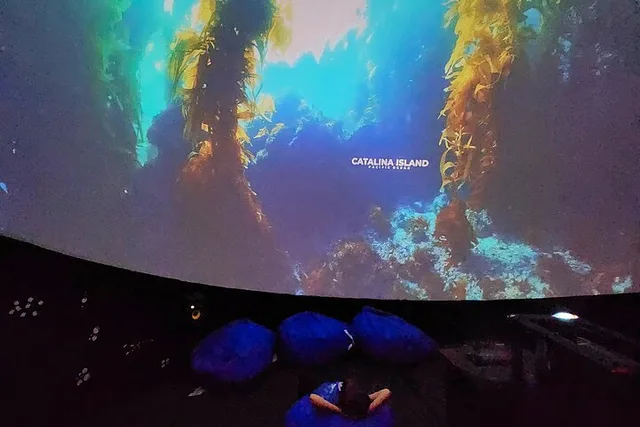 Catalina Island Immersive Movie Experience - Image 4