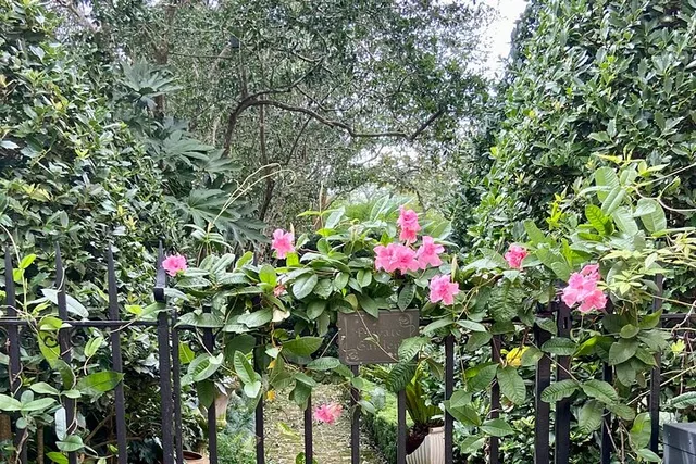 Charleston History and Horticultural Tour - Image 5