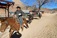 Las Vegas Horseback Ride in Joshua Tree Forest thumbnail 1