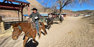 Las Vegas Horseback Ride in Joshua Tree Forest
