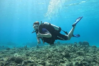 Oahu SCUBA Dive at Electric Beach
