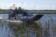 Florida Everglades Airboat Ride thumbnail 2