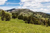 Yellowstone Mount Washburn Naturalist Day Hike thumbnail 3