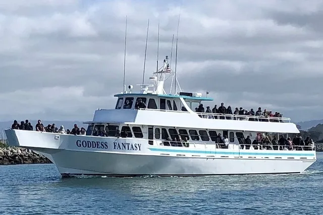 Monterey Bay Whale Watching Tour - Image 3
