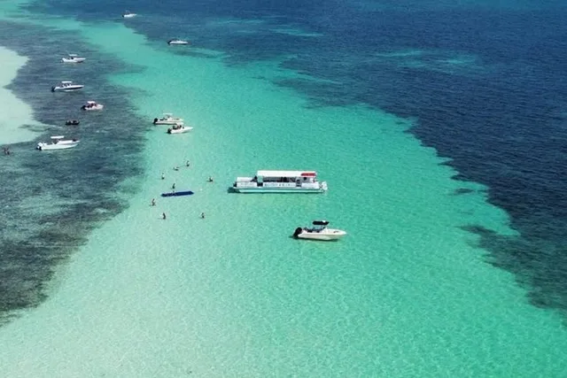 Marathon Sandbar Cruise & Sightseeing Adventure - Image 4
