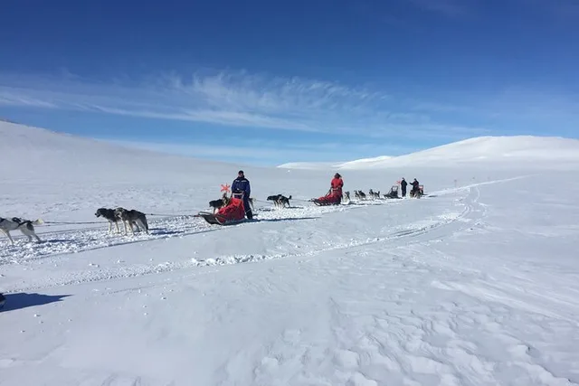 Fairbanks Dogsledding Adventure - Image 6