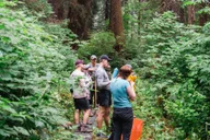 Sitka Tongass National Forest Hike thumbnail 3