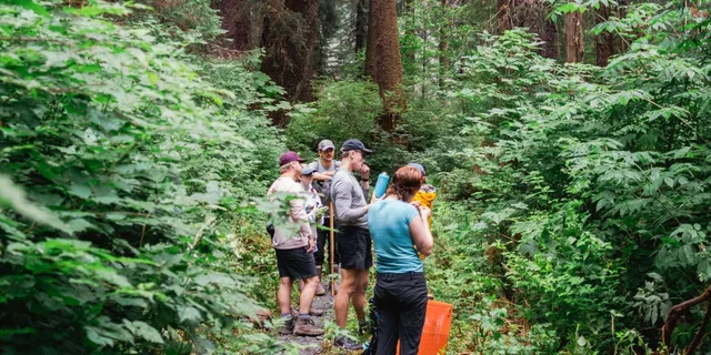 Sitka Tongass National Forest Hike - Image 3