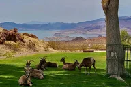 Las Vegas Electric Bike Tour to Hoover Dam thumbnail 6