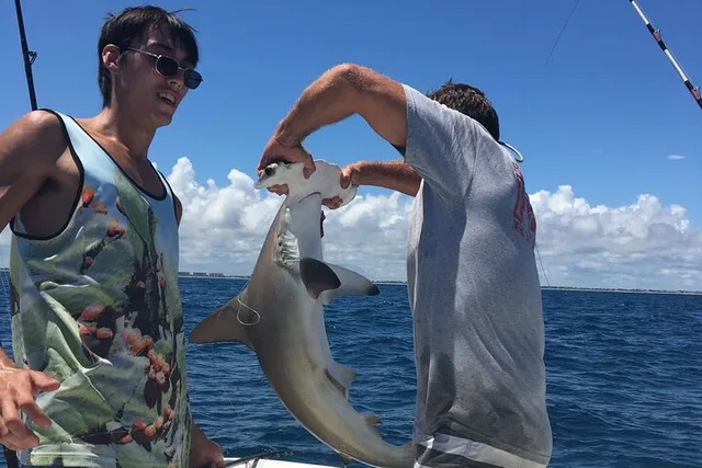Miami Inshore Fishing Trip 6 hr - Image 6