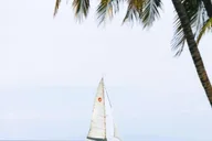 Lahaina Snorkel and Sail to Lāna'i Coast 5 hr thumbnail 2