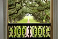 New Orleans Oak Alley Plantation Tour with Transportation thumbnail 5