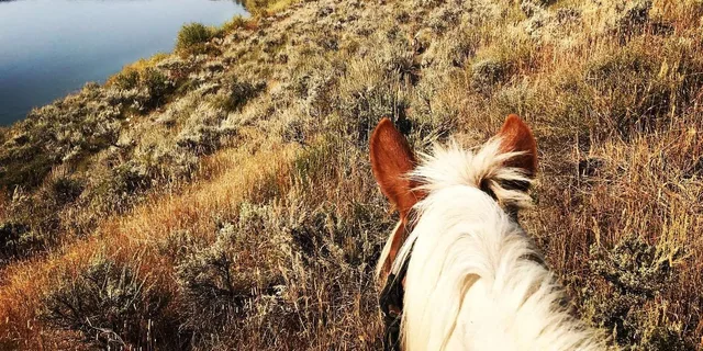 Jackson Hole Horseback Riding Adventure - Image 2