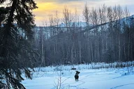 Fairbanks Northern Lights Tour at Chena Hot Springs thumbnail 5