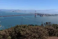 San Francisco City Sightseeing Private Tour 4 hr thumbnail 6