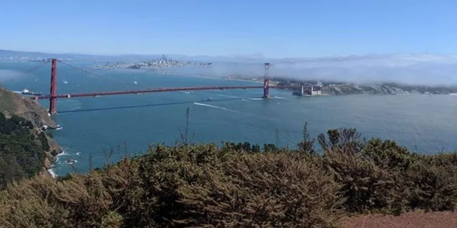 San Francisco City Sightseeing Private Tour 4 hr - Image 6
