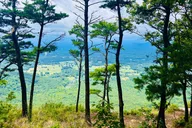 Yonah Mountain Private Hike in Georgia thumbnail 2