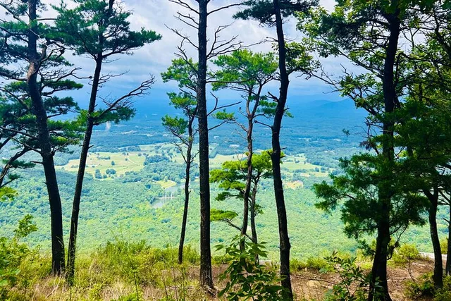 Yonah Mountain Private Hike in Georgia - Image 2