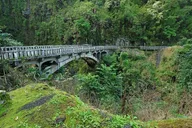 Maui Road to Hana Adventure Day Trip from Oahu thumbnail 6