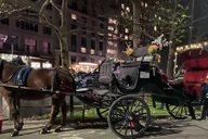 New York City Central Park Horse and Carriage Ride thumbnail 4