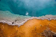 Yellowstone National Park Group Tour thumbnail 2