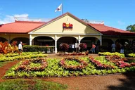 Oahu Island Tour Dole Plantation Northshore thumbnail 4