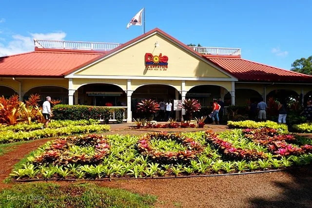 Oahu Island Tour Dole Plantation Northshore - Image 4