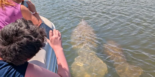 Cocoa Beach Dolphin and Manatee Eco Boat Tour - Image 2
