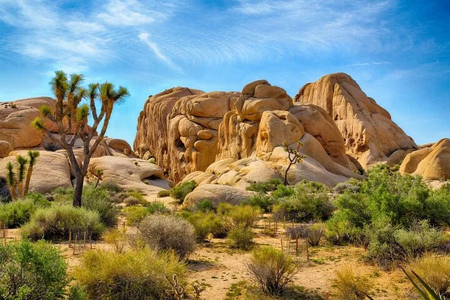 Joshua Tree Hidden Valley Self-Guided Walking Tour - Image 2
