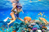 Honolulu Catamaran Snorkel with Turtles 3 hr thumbnail 1