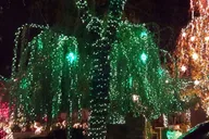 New York City Dyker Heights Christmas Lights Tour thumbnail 2
