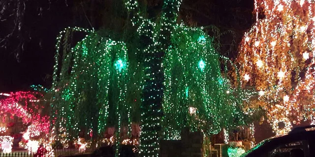 New York City Dyker Heights Christmas Lights Tour - Image 2