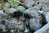 Malibu Electric Bike & Hike to Hidden Grotto thumbnail 5