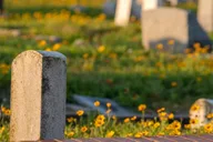 Galveston Old City Cemetery Walking Tour thumbnail 3
